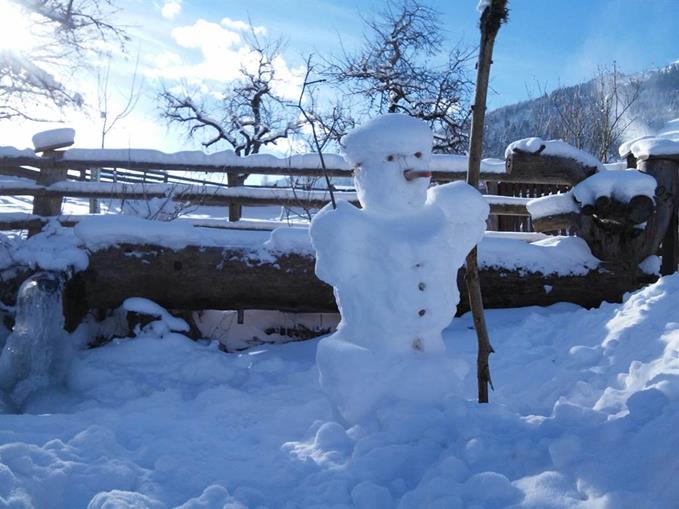 Frühstückspension: Biohof Maurachgut