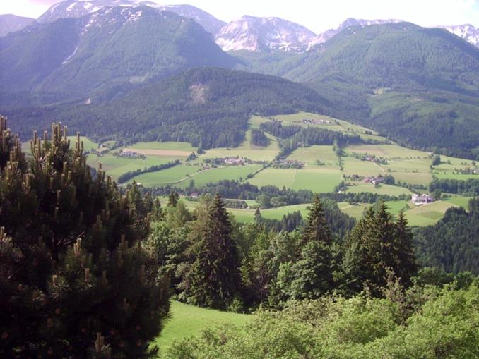 Frühstückspension: Ferienhof Hinterramsebn 