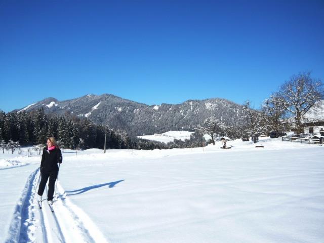 Frühstückspension: Ferienhof Grossgrub