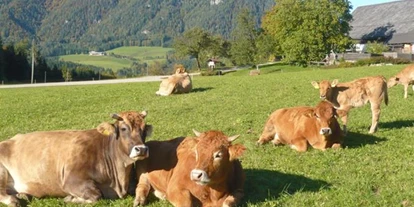 Pensionen - Steinbach an der Steyr - Ferienhof Grossgrub