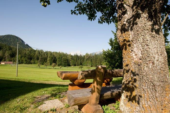 Frühstückspension: Ferienhof Grossgrub