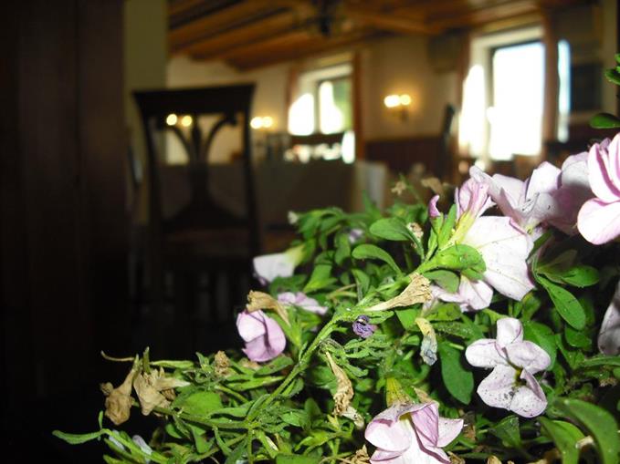 Pensionen - Admont (Admont) - Hotel Garni Botenwirt