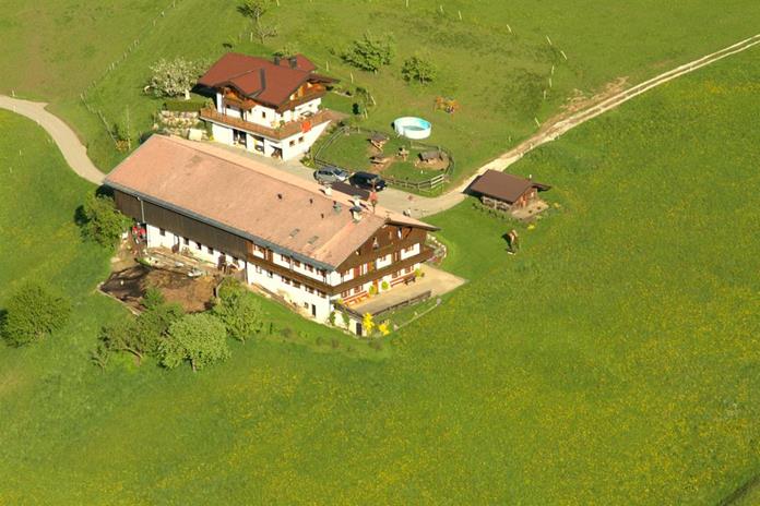 Frühstückspension: Jausenstation Grünholz