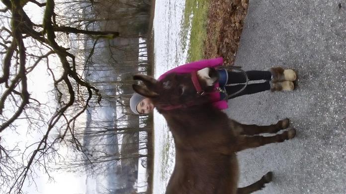Frühstückspension: Jausenstation Grünholz
