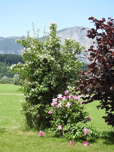 Frühstückspension: Appartement Bergblick