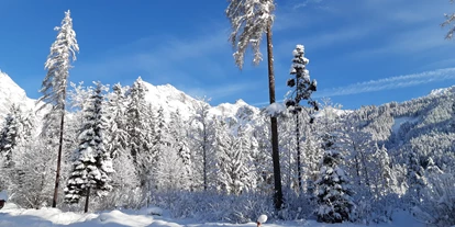 Pensionen - Parkplatz: kostenlos bei der Pension - Leogang - Winterlandschaft - Appartement Monika Herzog