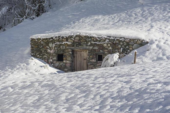 Frühstückspension: Appartementhaus Glashütte
