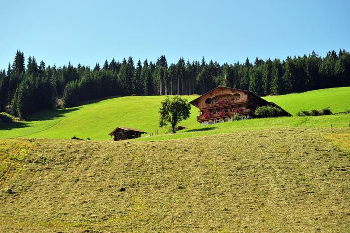 Pensionen - Ellmau - Biobauernhof Fleckl