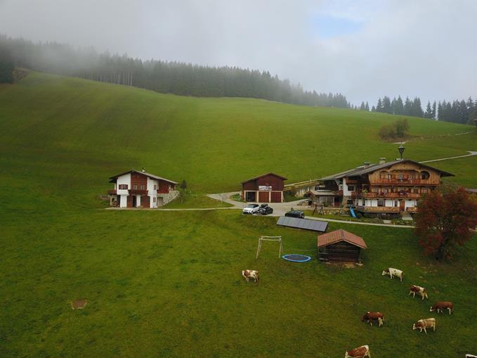 Frühstückspension: Biobauernhof Fleckl
