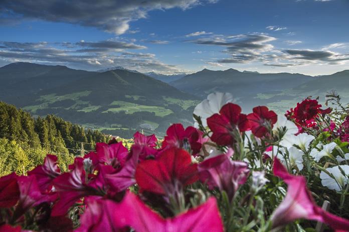 Frühstückspension:  Appartement Oberschernthann