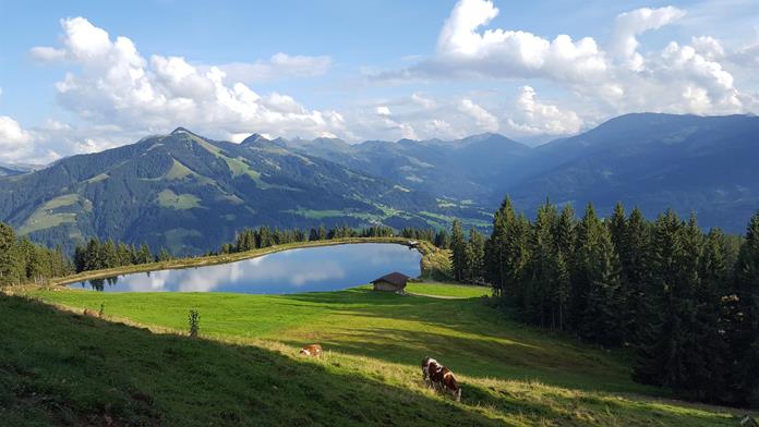 Frühstückspension:  Appartement Oberschernthann