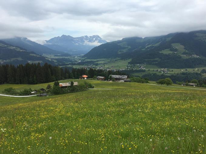Frühstückspension: Landhaus Maria