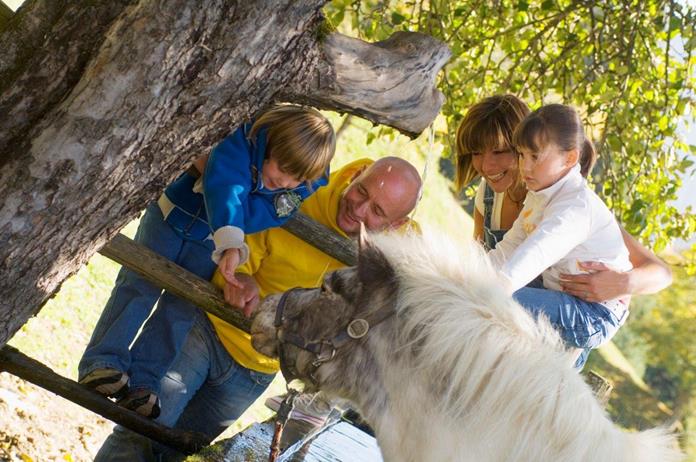 Pensionen - Ellmau - Trampl-Hof