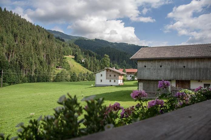 Frühstückspension: Gästehaus Fohringer