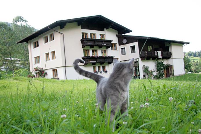 Frühstückspension: Gästehaus Fohringer