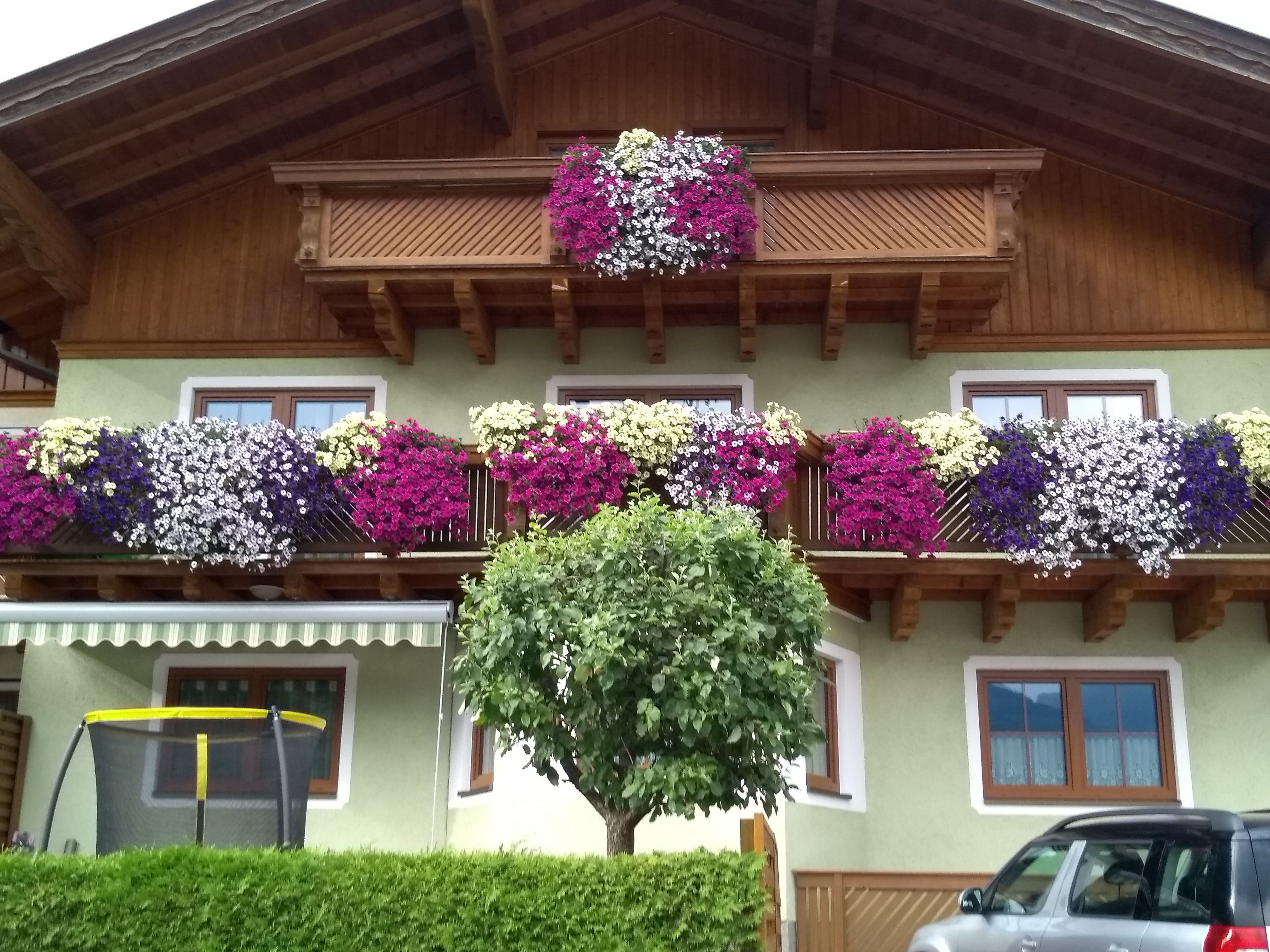 Frühstückspension: Haus Viehhauser Karl