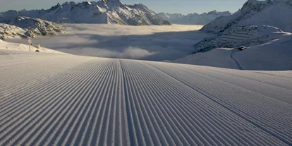 Pensionen - Garten - Vorarlberg - Appartementhaus Lechblick