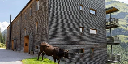 Pensionen - Garten - Vorarlberg - Appartementhaus Lechblick