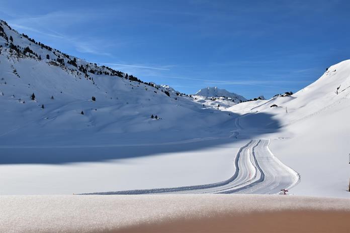 Frühstückspension: apart-wolf-arlberg