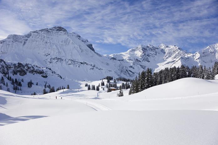 Frühstückspension: Apartments Bischof