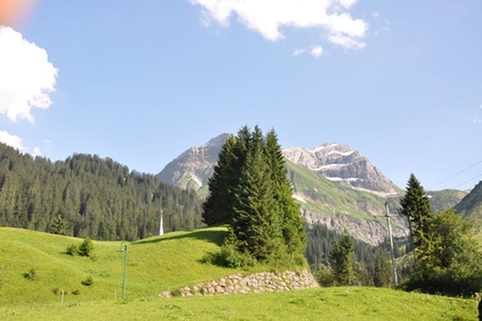 Frühstückspension: Apartments Bischof