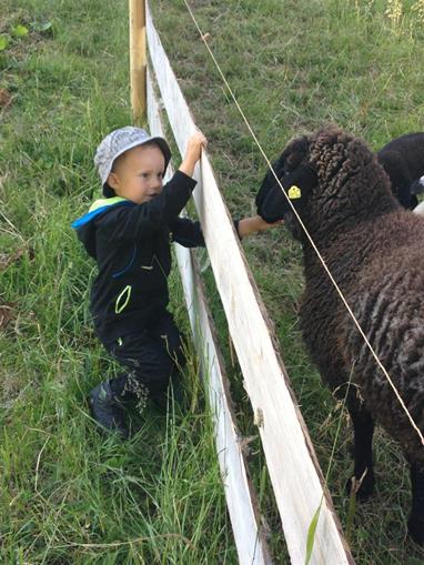Frühstückspension: Gästehaus Klocker