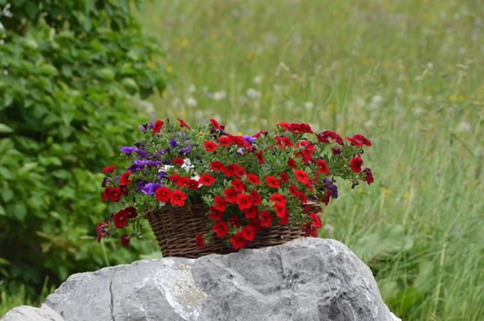 Frühstückspension: Gästehaus Klocker