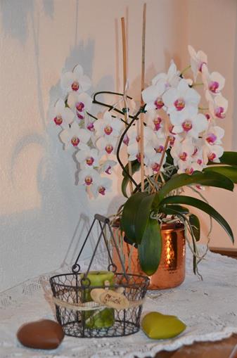 Frühstückspension: Gästehaus Klocker