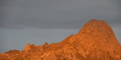 Pensionen - Garten - Vorarlberg - Haus Alpenblick