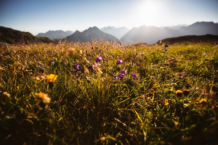Frühstückspension: Haus Rothorn Appartements