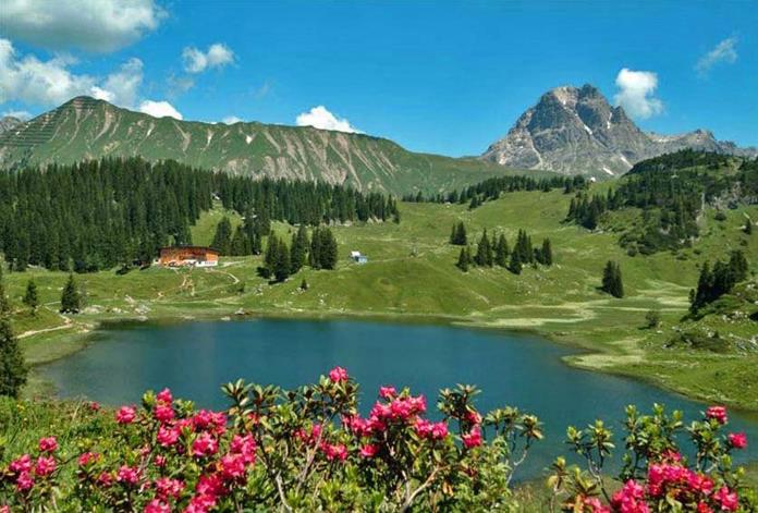 Frühstückspension: Alpina Appartements