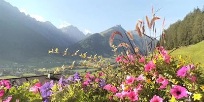 Pensionen - Seefeld in Tirol - Pension Riese