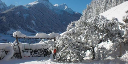 Pensionen - Seefeld in Tirol - Pension Riese
