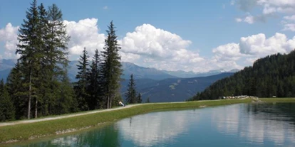 Pensionen - Seefeld in Tirol - Pension Riese
