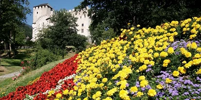 Pensionen - Frühstück: Frühstücksbuffet - Osttirol - Schloß Bruck in Lienz - jährlich interessante Ausstellungen - Gästehaus Steinerhof