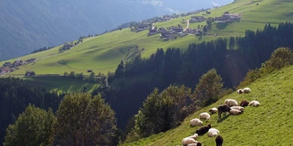 Pensionen - Frühstück: Frühstücksbuffet - Osttirol - Das Pustertal auch eine sehenswerte Umgebung - Gästehaus Steinerhof