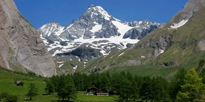 Pensionen - Frühstück: Frühstücksbuffet - Osttirol - Großglockner unser bekanntester 3000ender - Gästehaus Steinerhof