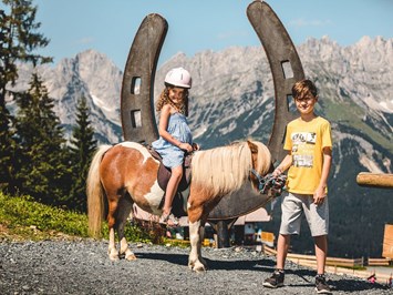 Landhaus Ager Ausflugsziele Astberg Pony Alm