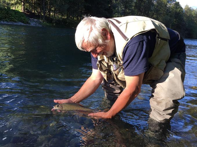 Pensionen - Lienz (Lienz) - Gasthof Dorfschenke