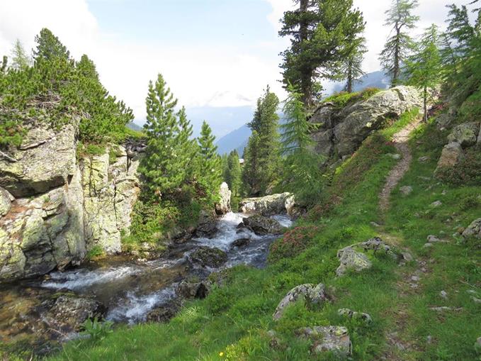 Pensionen - Lienz (Lienz) - Gasthof Dorfschenke