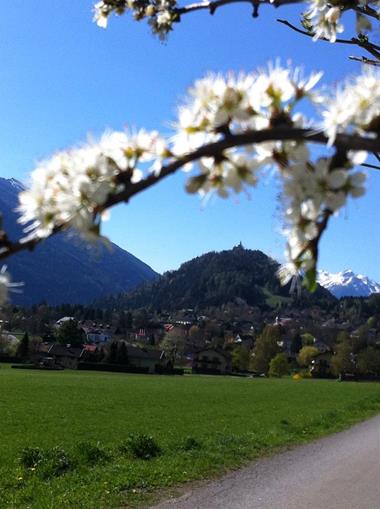Frühstückspension: Herkuleshof am Danielsberg