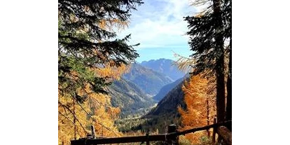 Pensionen - Mallnitz - Gasthof Alpenrose