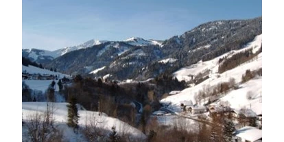 Pensionen - Parkplatz: kostenlos bei der Pension - Leogang - Blick vom Balkon - Haus Eva Portenkirchner