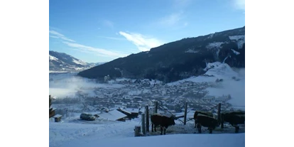 Pensionen - WLAN - Hohe Tauern - Unsere Kühe  - Oberaigenhof Ferienwohnungen Kaprun