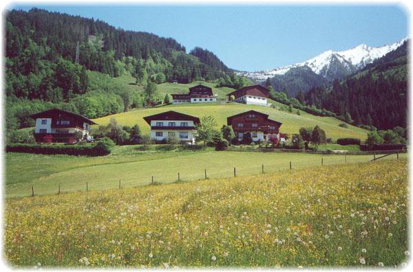 Pensionen - Zell am See - Haus Moni