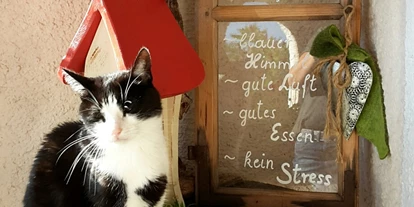 Pensionen - Parkplatz: kostenlos bei der Pension - Leogang - Haus Heidi