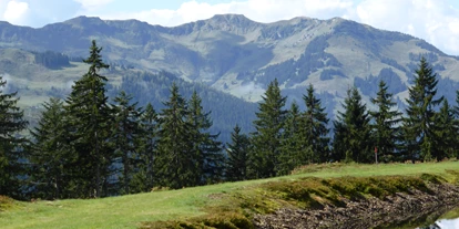 Pensionen - Parkplatz: kostenlos bei der Pension - Leogang - Haus Heidi