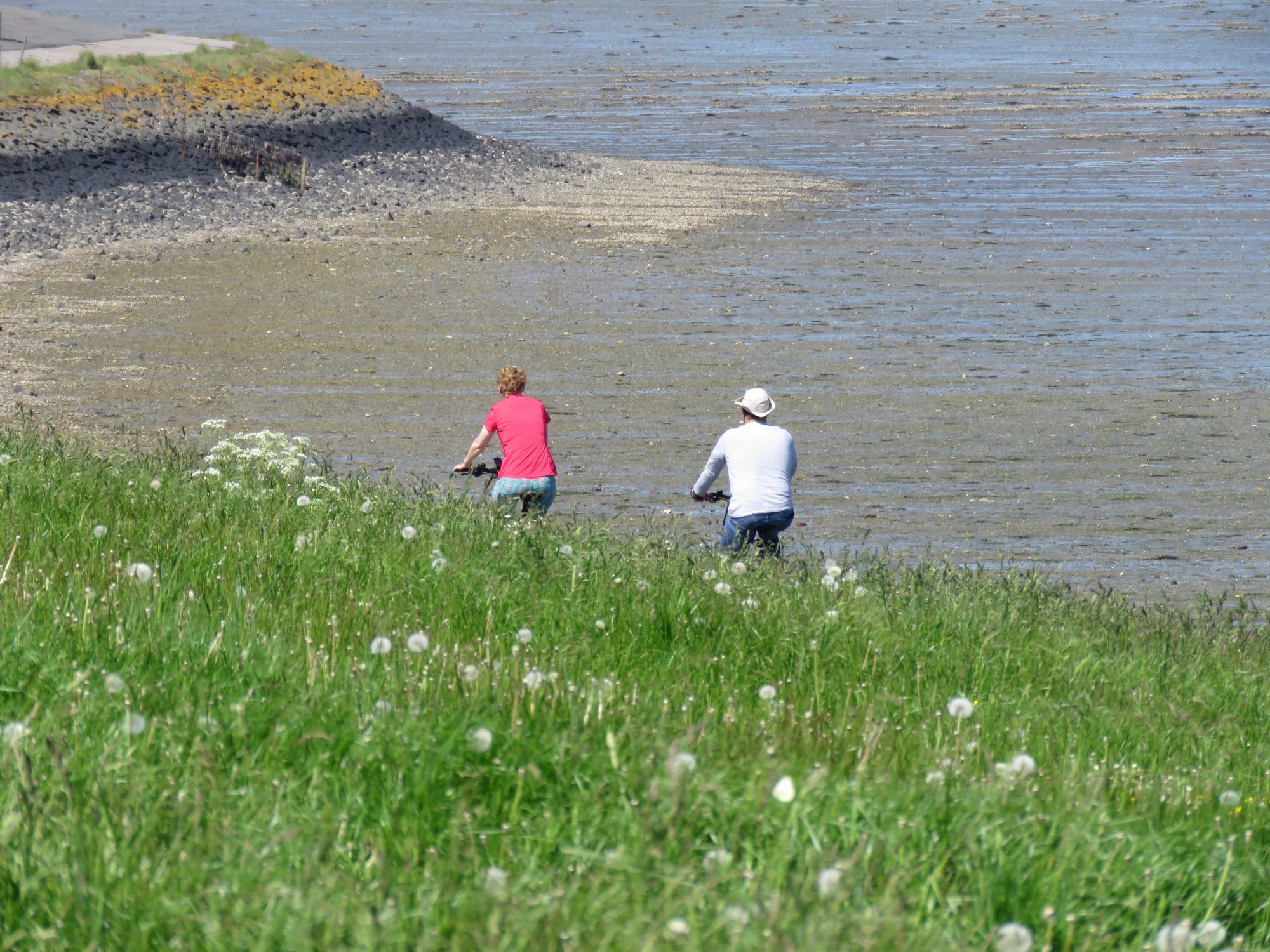 Frühstückspension: Radfahren auf dem Deich - Ferienhaus Mariechen an der Nordseeküste