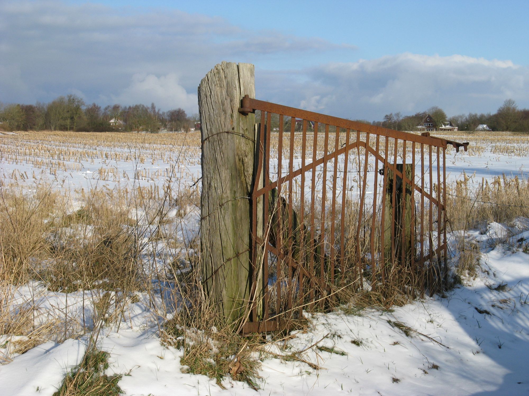 Frühstückspension: Winterimpressionen in Holtgast - Ferienhaus Mariechen an der Nordseeküste