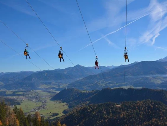 Frühstückspension: Gästehaus Schwaiger